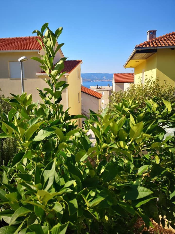 Apartmani Livajic Duće Extérieur photo